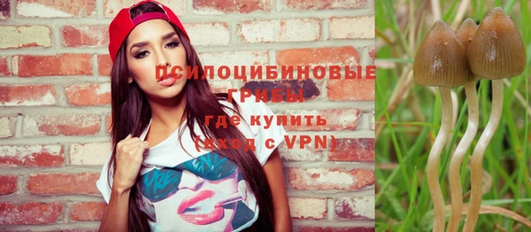spice Кулебаки