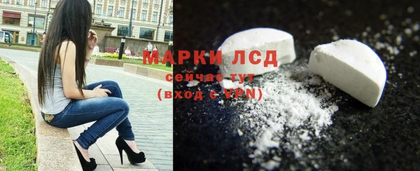 ECSTASY Лагань