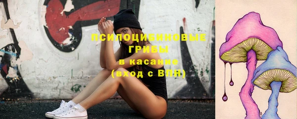 ГАЛЛЮЦИНОГЕННЫЕ ГРИБЫ Кукмор