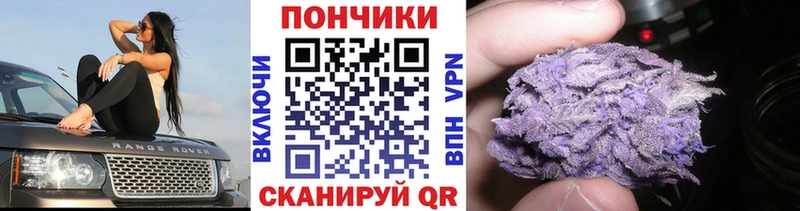 Шишки марихуана ГИДРОПОН  Харабали 